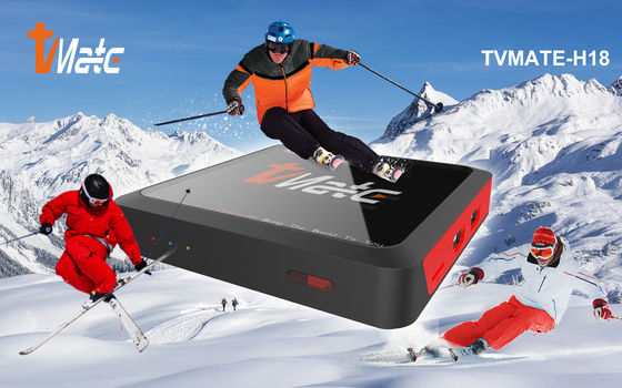 Widevine L1 Android 10.0 TV BOX Allwinner H313 Προσαρμοσμένο OTT Android TV Box